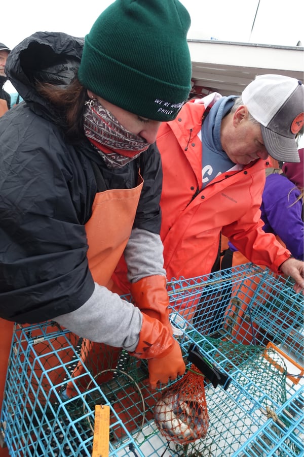 Lobstering, United States