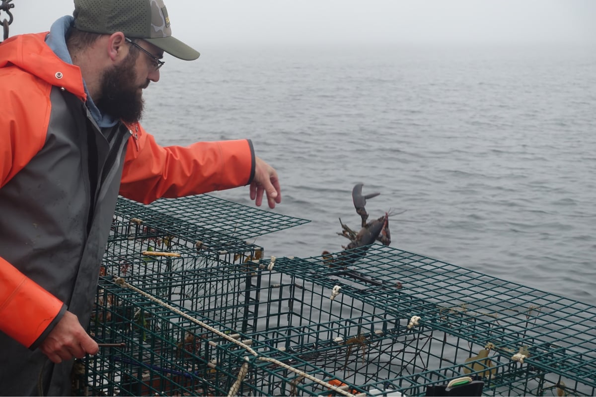 Lobstering, United States