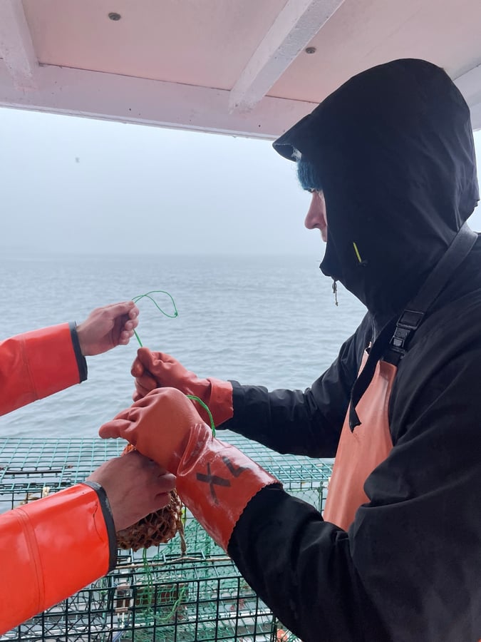 Lobstering, United States