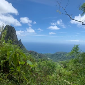 Mountain Hike by Adam