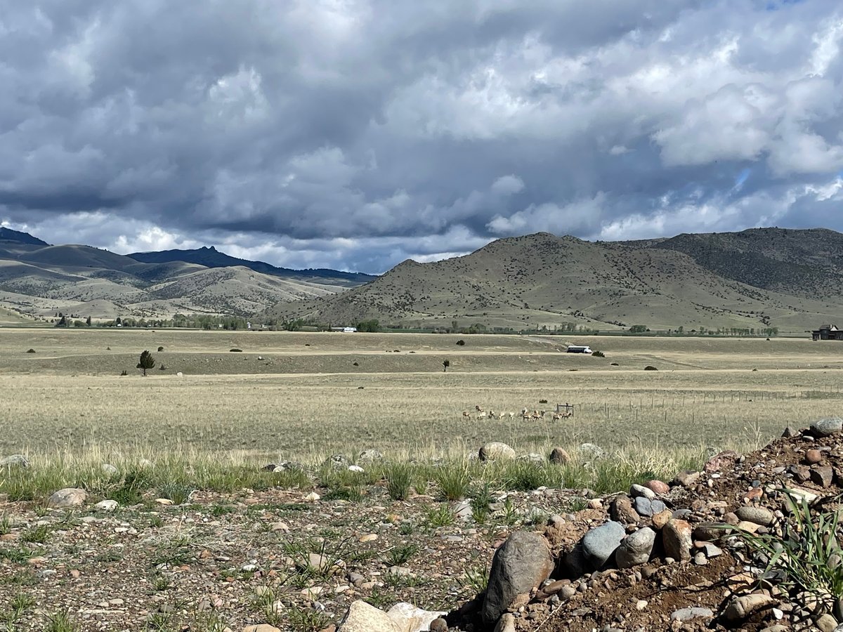 Día de descanso, Estados Unidos