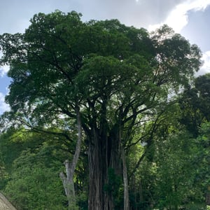 A Quick Stop In Taiohae by Adam