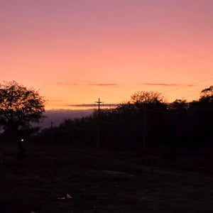 La Rioja - Made A New Friend by David