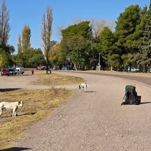 HITCHHIKING BIG by David