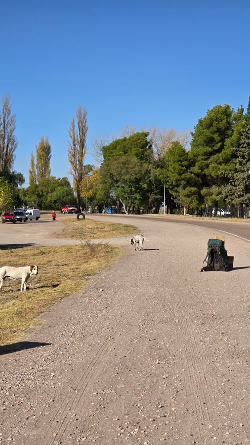 AUTOESTOPISTA A LO GRANDE, Argentina