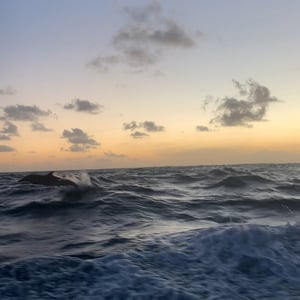 Rainy But Stonking by Adam