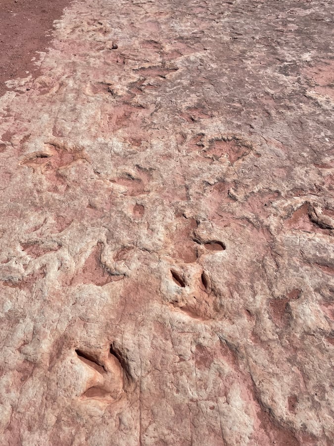 Dinosaur Tracks, Verenigde Staten