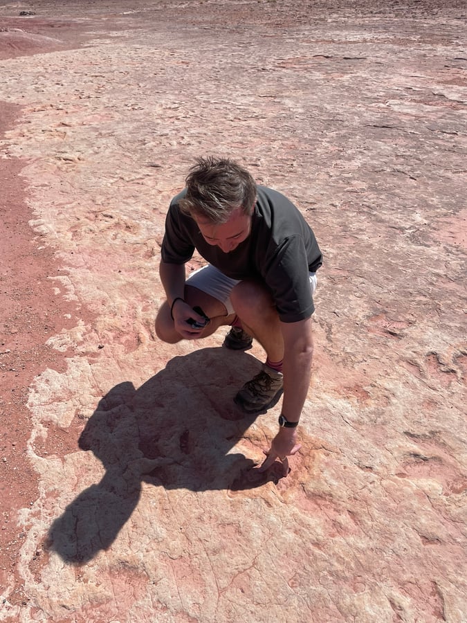 Dinosaur Tracks, Verenigde Staten
