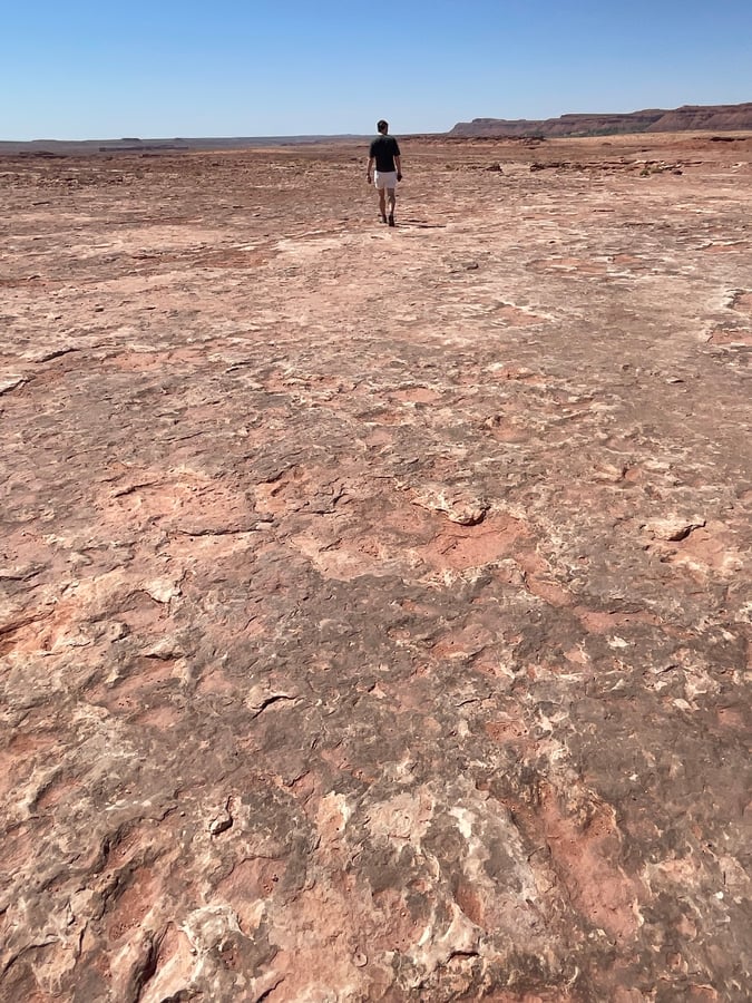 Dinosaur Tracks, Verenigde Staten