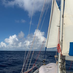 Tuamotus | Land Ho by Adam