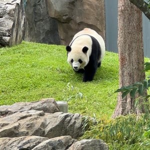 30 May 2025 - 14:50 by Cinthia