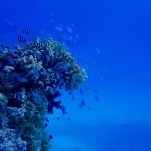 Sailing Makemo | Our First Atoll by Adam