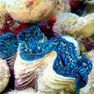 Sailing Makemo | Our First Atoll by Adam