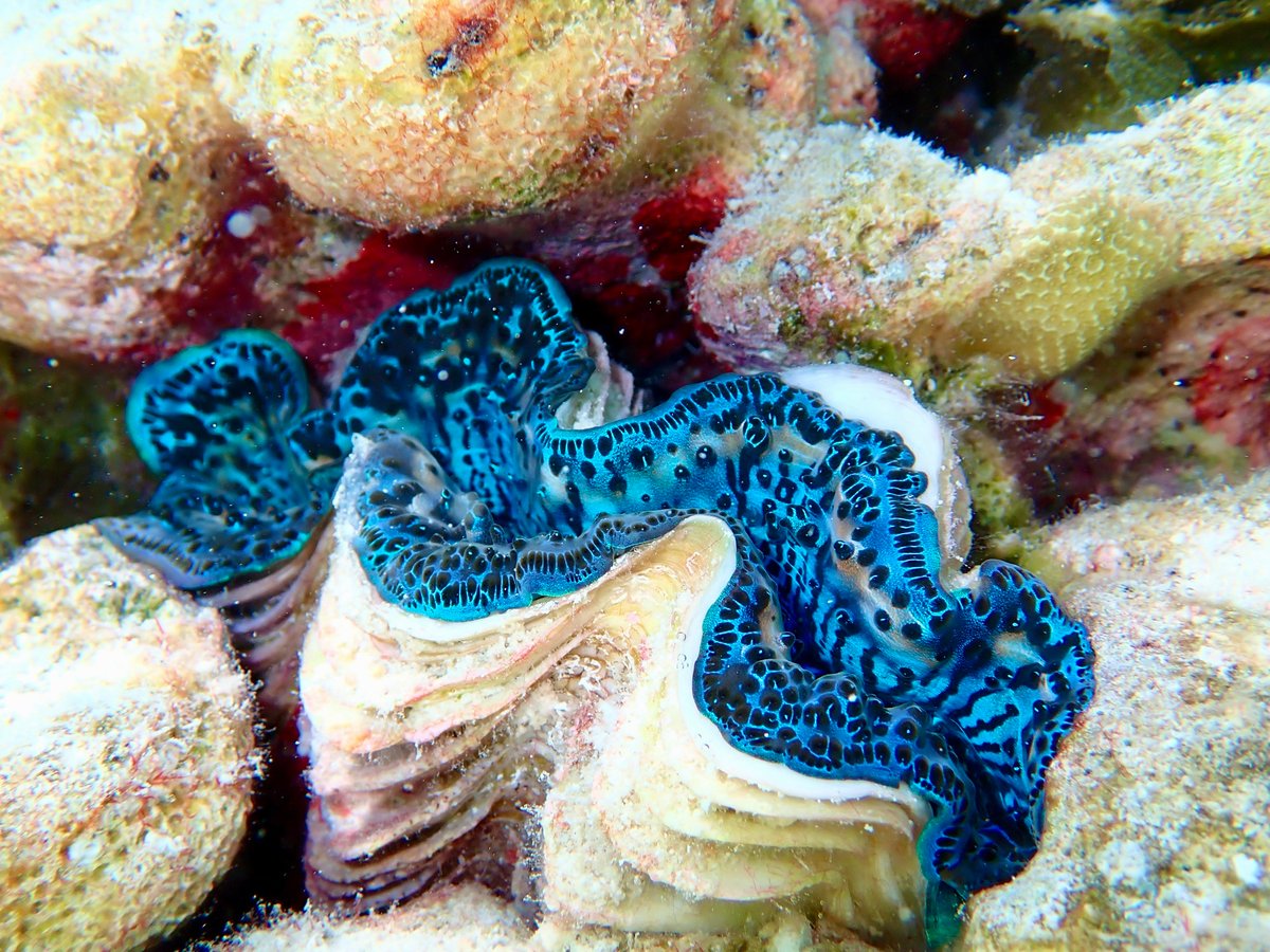 Navigation sur Makemo | Notre premier atoll