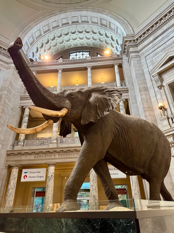 Smithsonian Natural History Museum, United States