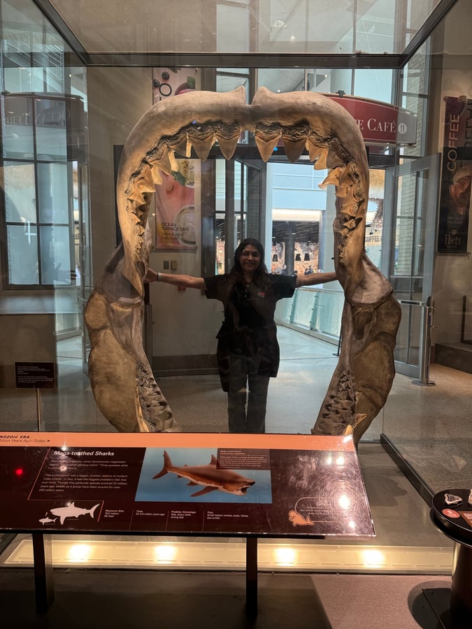 Smithsonian Natural History Museum, United States