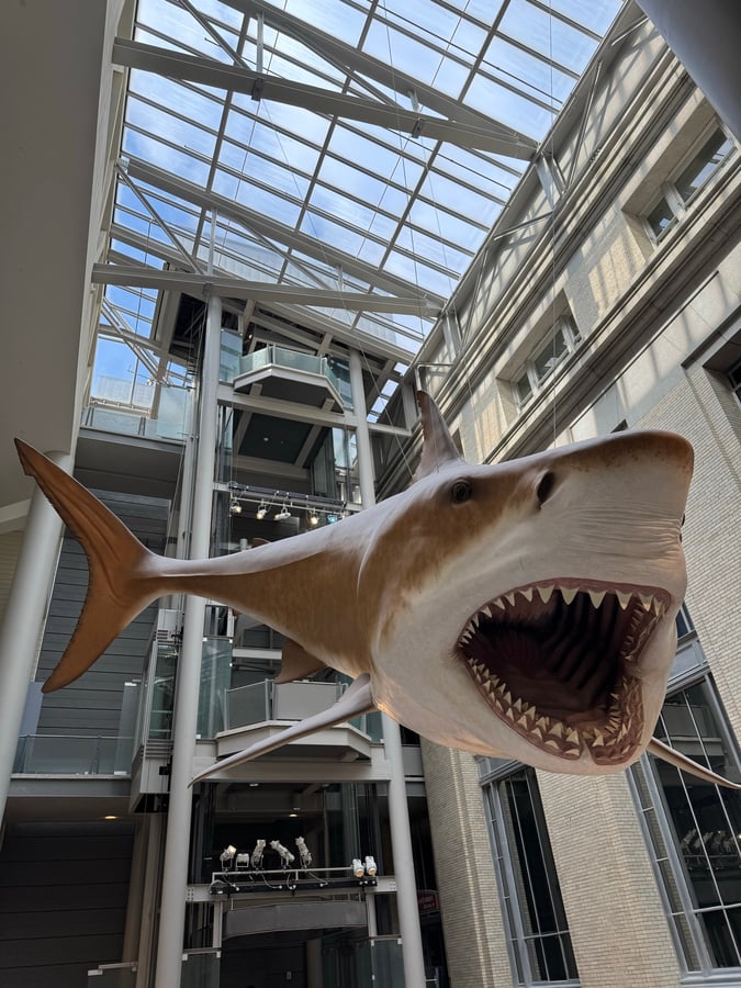 Smithsonian Naturkundemuseum, Vereinigte Staaten