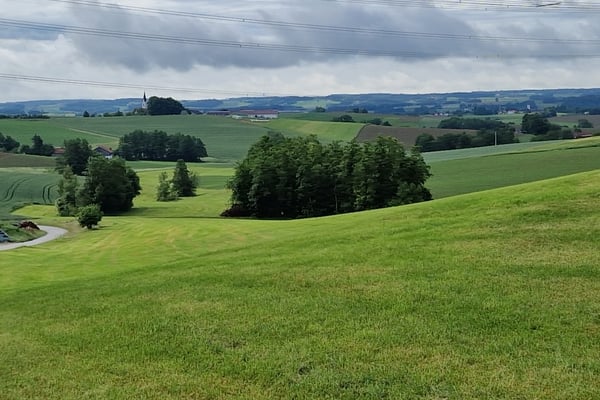 Letzte Trainingswoche