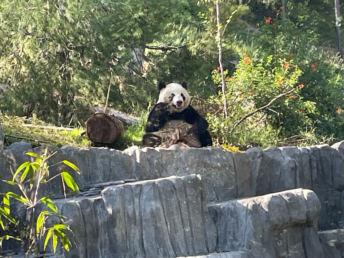 Zoológico de San Diego = Élite, Estados Unidos