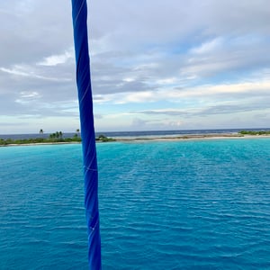 Snorkelling With Sharks by Adam