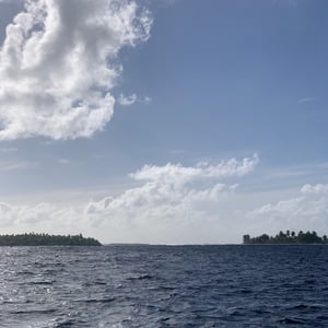 Drive-by Surf by Adam