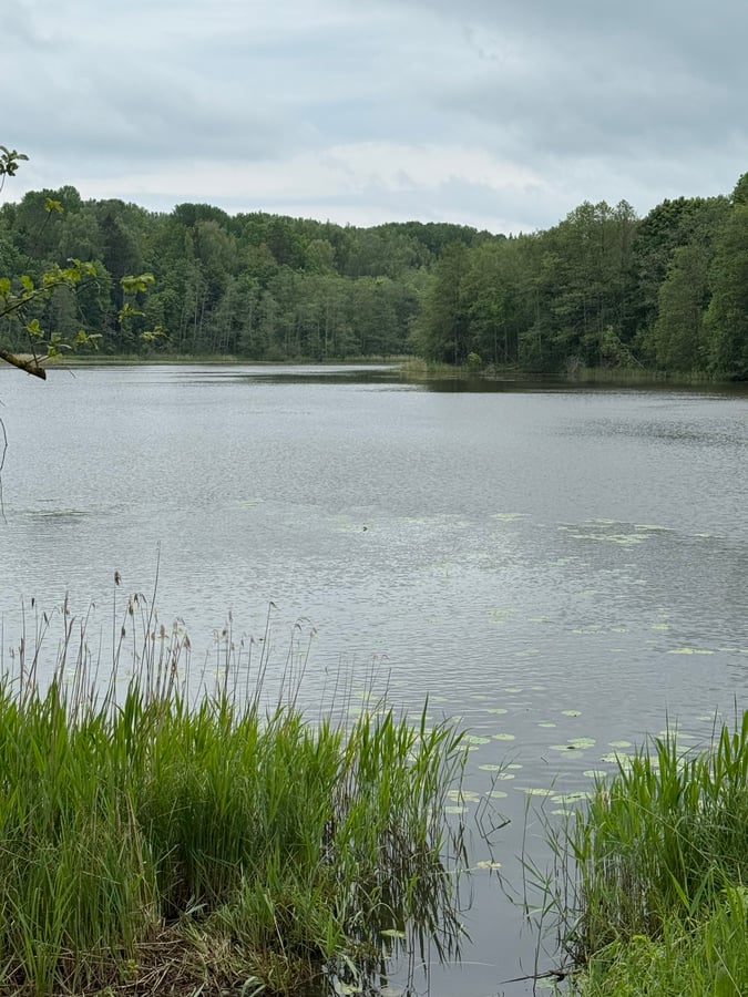 One of the smaller of many lakes here, Latvia