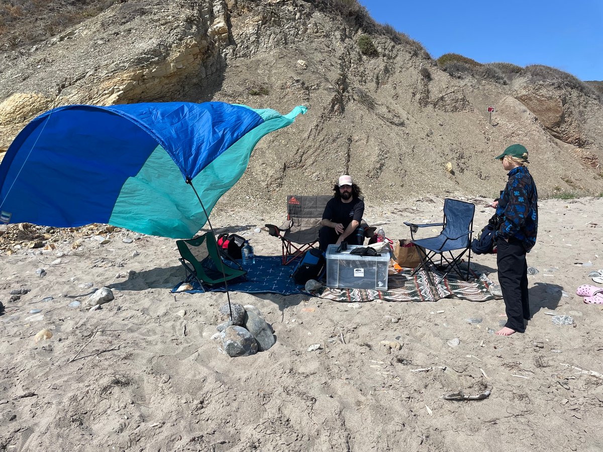 Fossil Hunting, United States