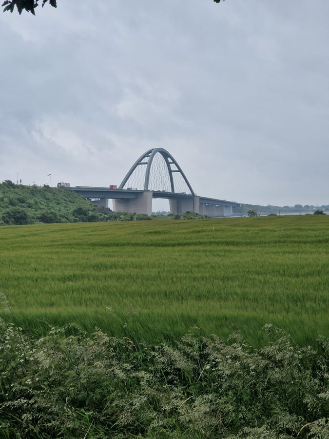 10 June 2025 - 16:55, Germany