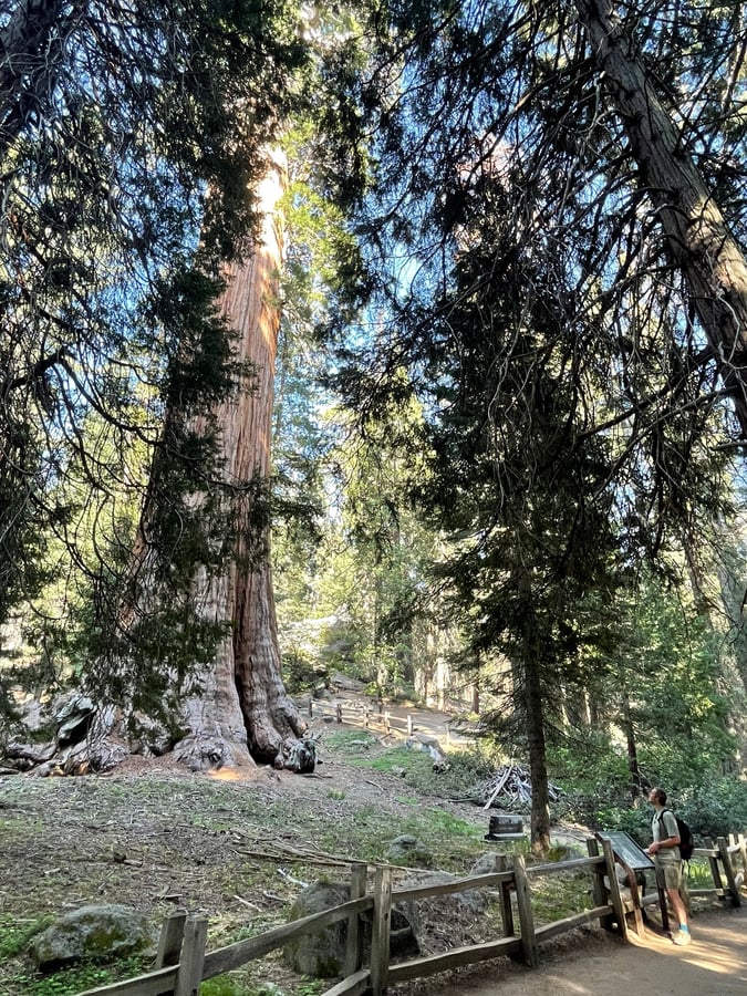 Parco nazionale di Sequoia, Stati Uniti