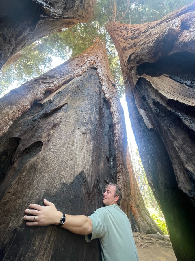Parco nazionale di Sequoia, Stati Uniti