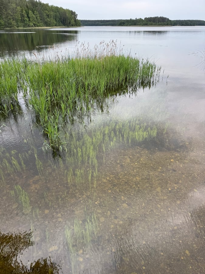 Lakes Everywhere! Baluosas Lake, Lithuania