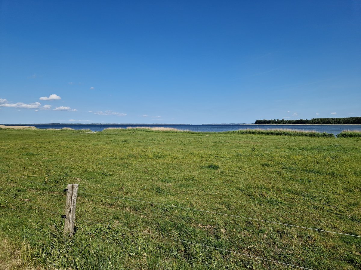 11 June 2025 - 16:57, Denmark