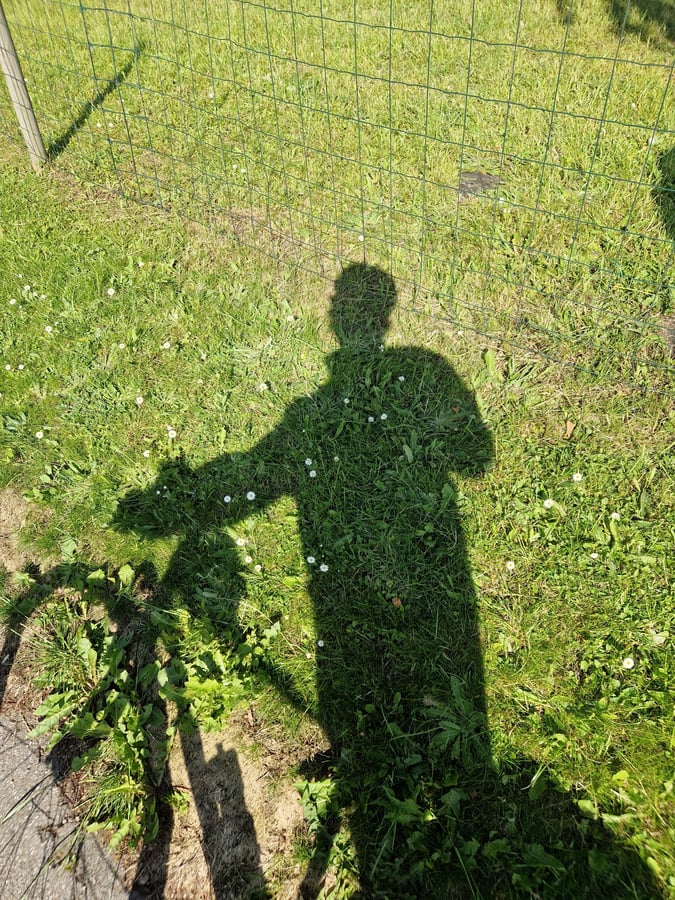 11 June 2025 - 17:50, Denmark