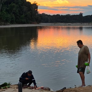 Deep Jungle Camp by David