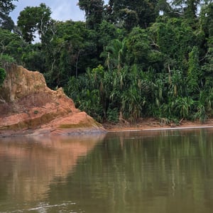 Deep Jungle Camp by David