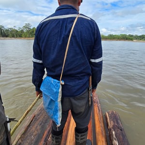 Rio Tiuchi Survival In The Jungle by David