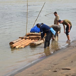 Rio Tiuchi Survival In The Jungle by David