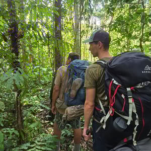 Trekking In The Jungle by David