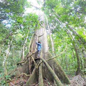 Trekking In The Jungle by David