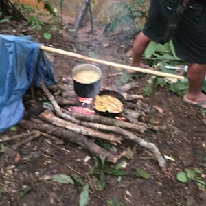 Camp In The Jungle by David