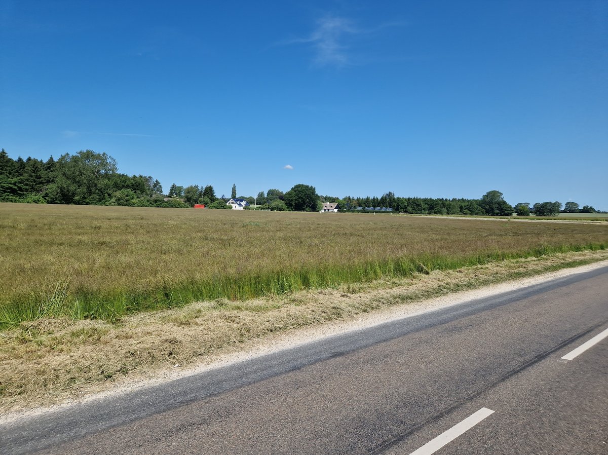 12 June 2025 - 10:53, Denmark