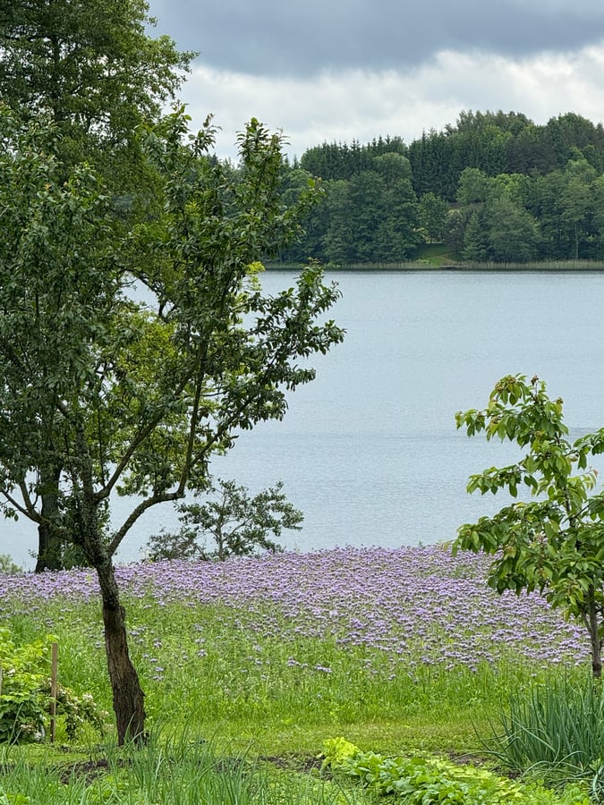 Beautiful Garden overlooking Stirna Lake, Lithuania
