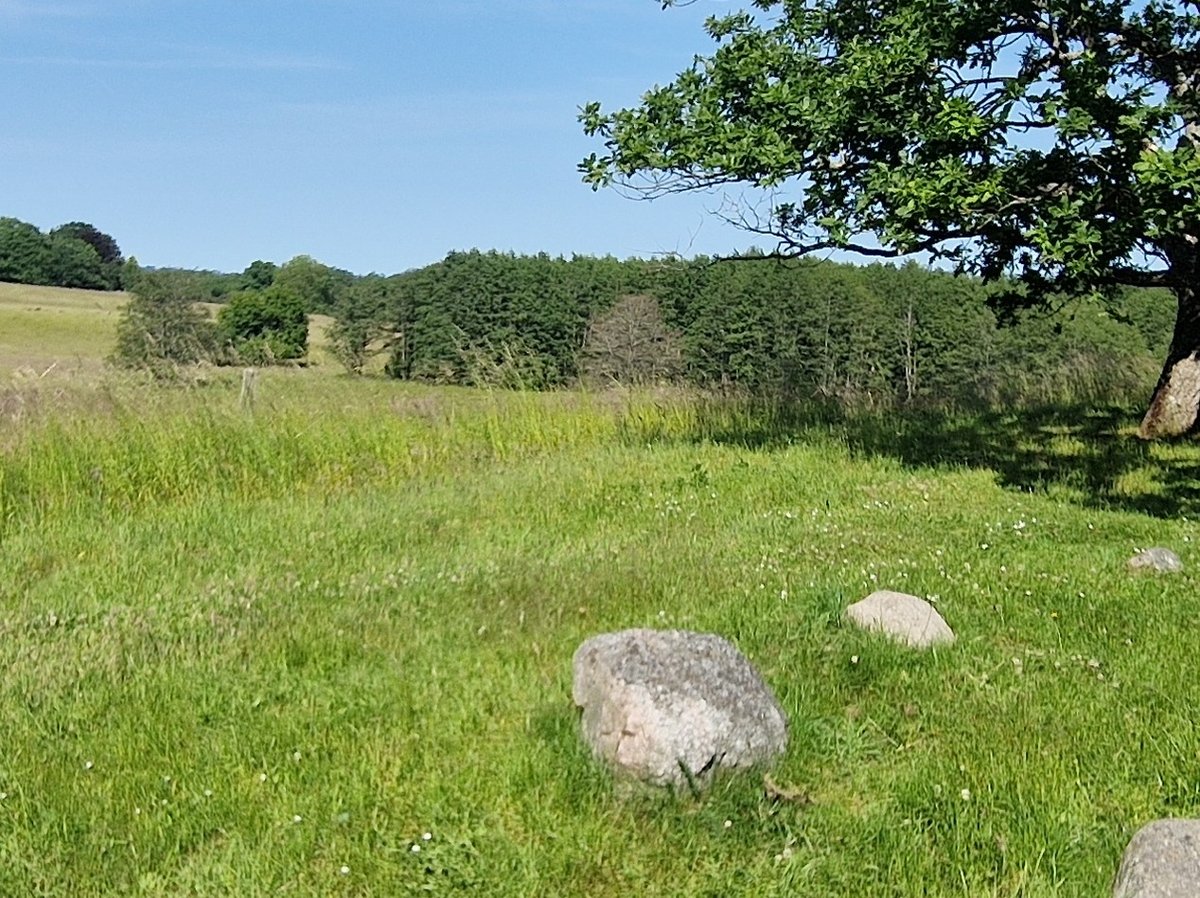 13 June 2025 - 15:44, Denmark