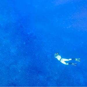 The Wall Of Sharks | Sailing Fakarava by Adam