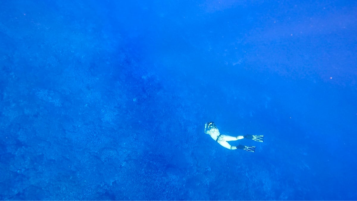 El Muro de los Tiburones | Navegando por Fakarava