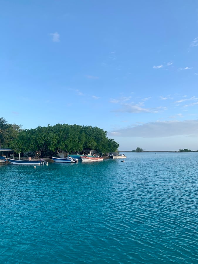Apataki | Anchored In Town