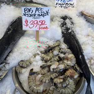 Seattle ❤️ by Julia &amp;amp; James