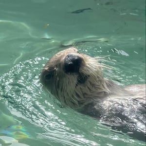 Seattle ❤️ by Julia &amp;amp; James