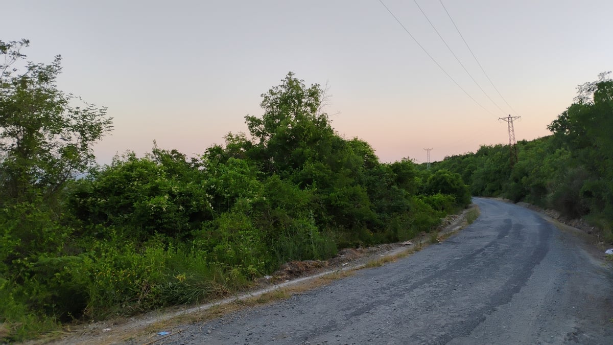 24 June 2025 - 21:33, Türkiye