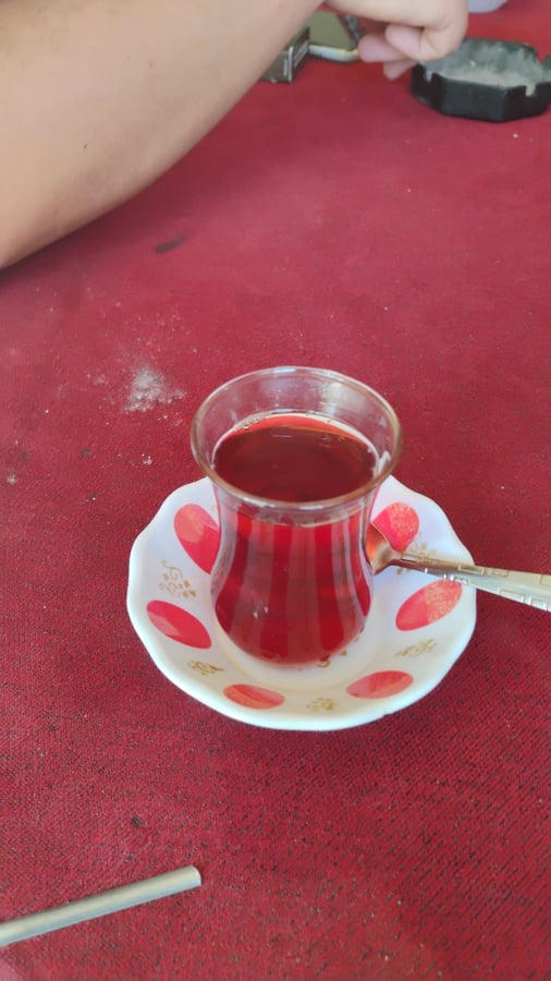 Invited In For Lunch And Water, Türkiye